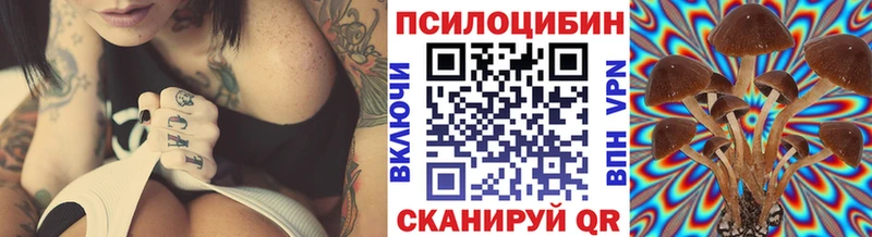 Галлюциногенные грибы Psilocybe  Купить  Буйнакск 